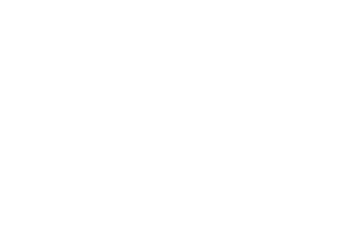 blurhie logo
